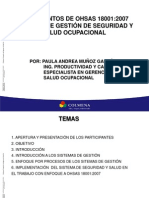 Fundamentos Ohsas 18001