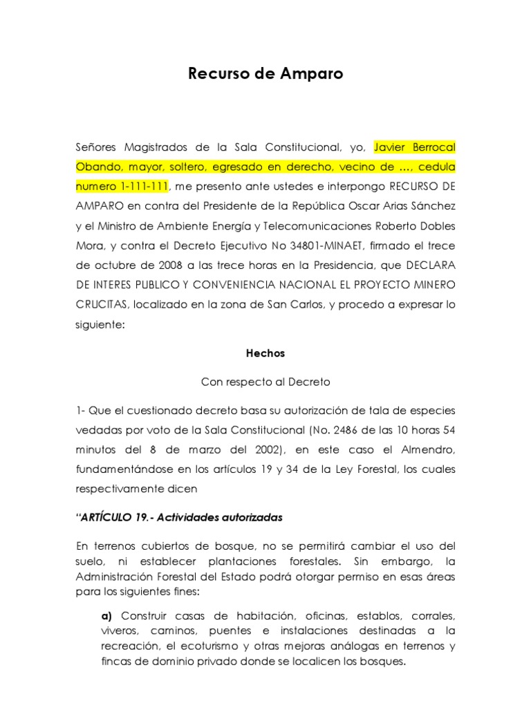 Ejemplo de Recurso de Amparo en Costa Rica | PDF | Minería | Los bosques