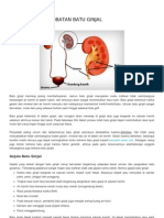 Gejala Dan Pengobatan Batu Ginjal