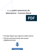 Principales Examenes de Laboratorio - Funcion Renal 2