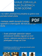 Održavanje Pčelinjih Zajednica Tijekom Godine