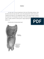 Anatomy