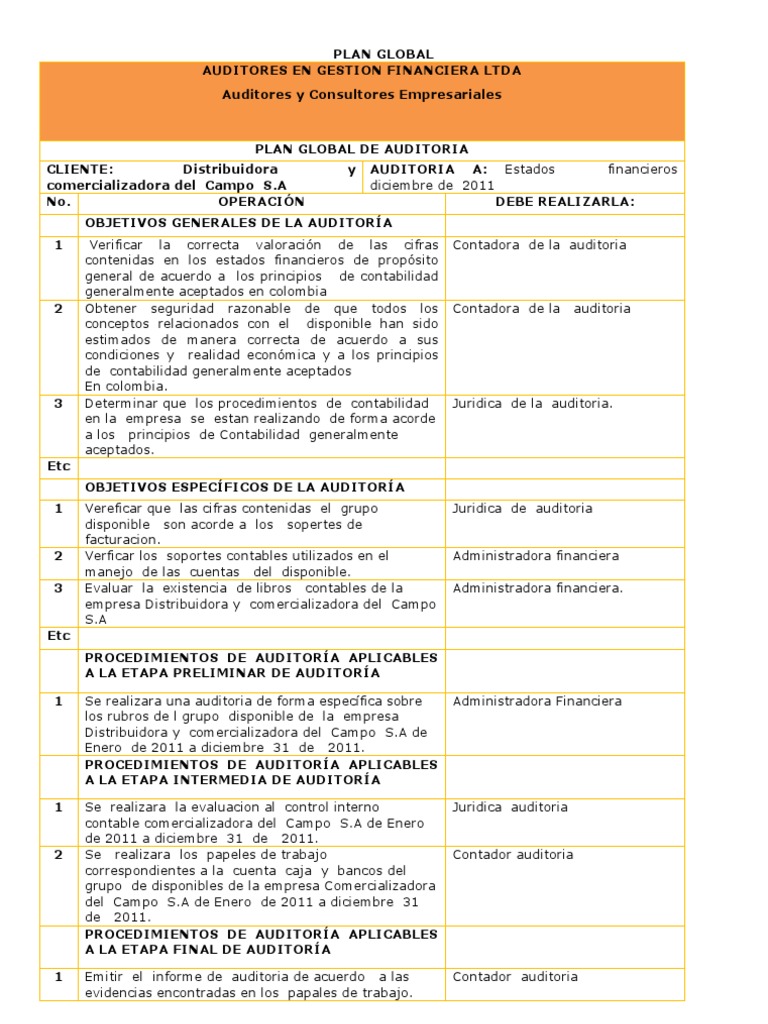 Plan Global de Auditoría Financiera | PDF