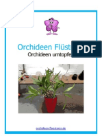 Orchideen Umtopfen