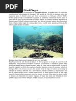 Download Ecosistemul Marii Negre by Irina Ra SN155689048 doc pdf