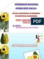 Postcosecha palta cuidados