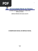 o significado social do serviço social