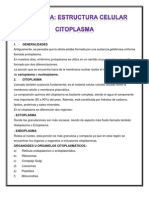 Biologia Tema 6 Citología Estructura Celular Citoplasma