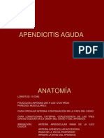 Apendicitis