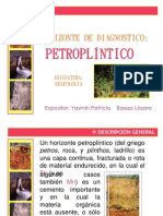 Presentacion Petroplintico