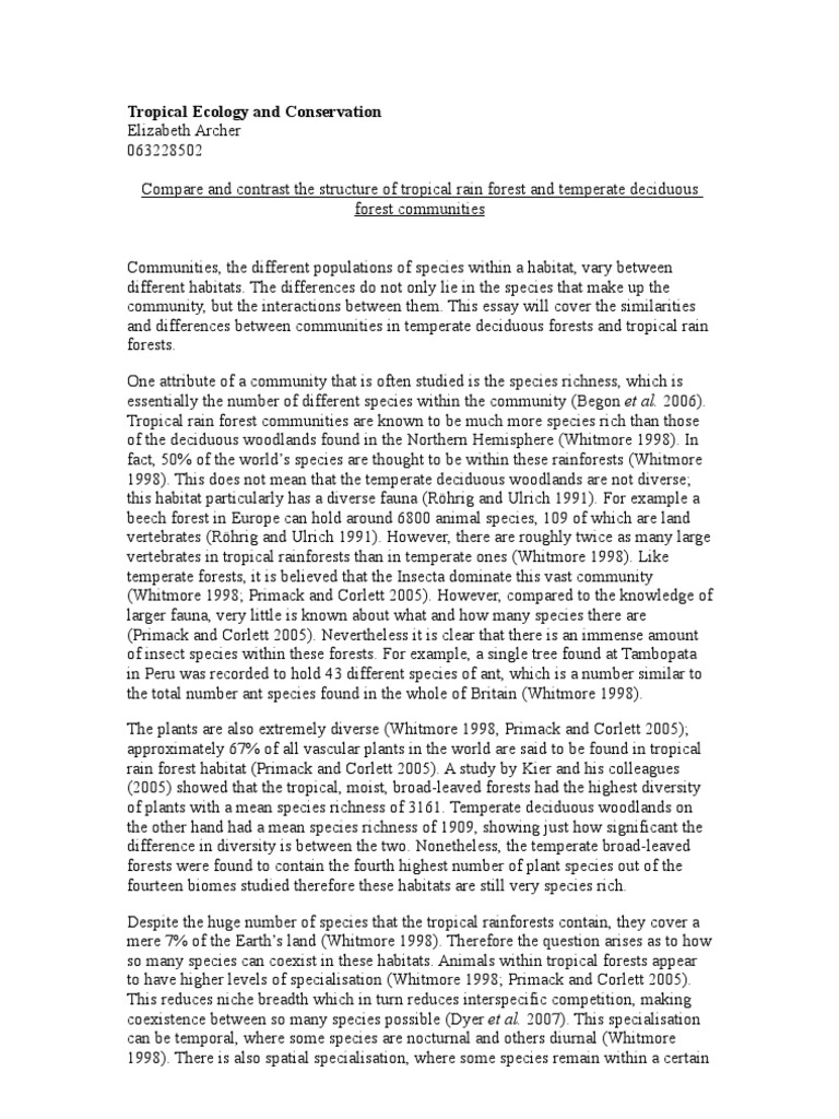 Writing a thesis picture