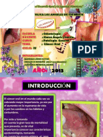 Cancer Oral Patologia