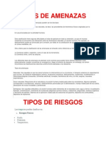 Tipos de Amenazas y Riesgos