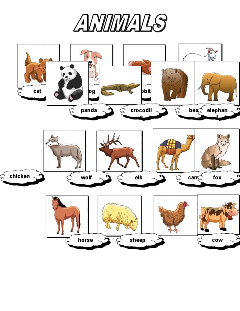 Cat Cat Dog Dog Rabbit Rabbit Goat Goat | PDF