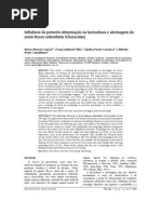 Manejo na primeira alimentção do yamu