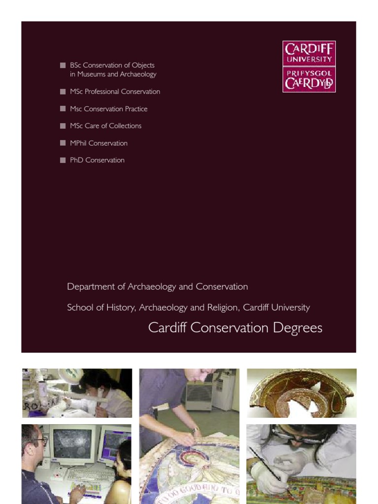 Conservation of Objects PDF | PDF | Academic Degree | Postgraduate ...