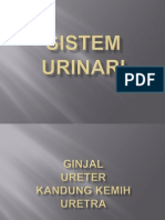 Sistem urinari.pptx