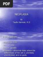 Neoplasia: by Taufik Rahman, M.D