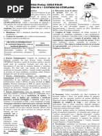 Pré-vestibular aula 03