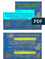 Teoria Explicativa Del Desarrollo