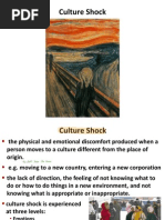 Culture Shock