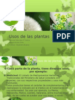 Usos de Las Plantas 3°