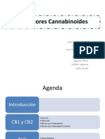 seminario_cannabinoides