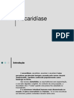 ascaridase-110423130612-phpapp02