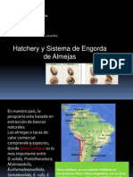 Sistema de Hatchery para Engorda de Almejas