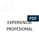 Experiencia Profesional