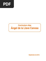 Download ngel de la Llave Canosa CV by angel_delallave224 SN15605288 doc pdf