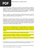 Geertz e Sahlins - Resumo