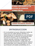 Biotecnologia en Hongos Comestibles