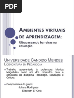 ambientesvirtuaisdeaprendizagem-110619074351-phpapp02
