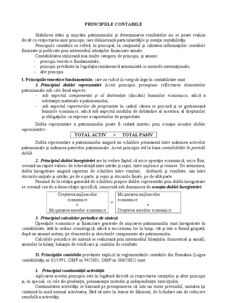 Principii Contabile | PDF