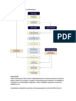 Proceso Producción de La Mantequilla