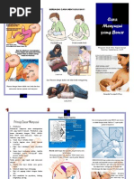Download leaflet Cara menyusui yang benarpdf by Amanda Kurniasih SN156096203 doc pdf