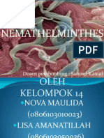 Kelompok 14 Kelas Nemathelminthes