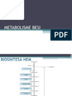 Metabolisme Besi