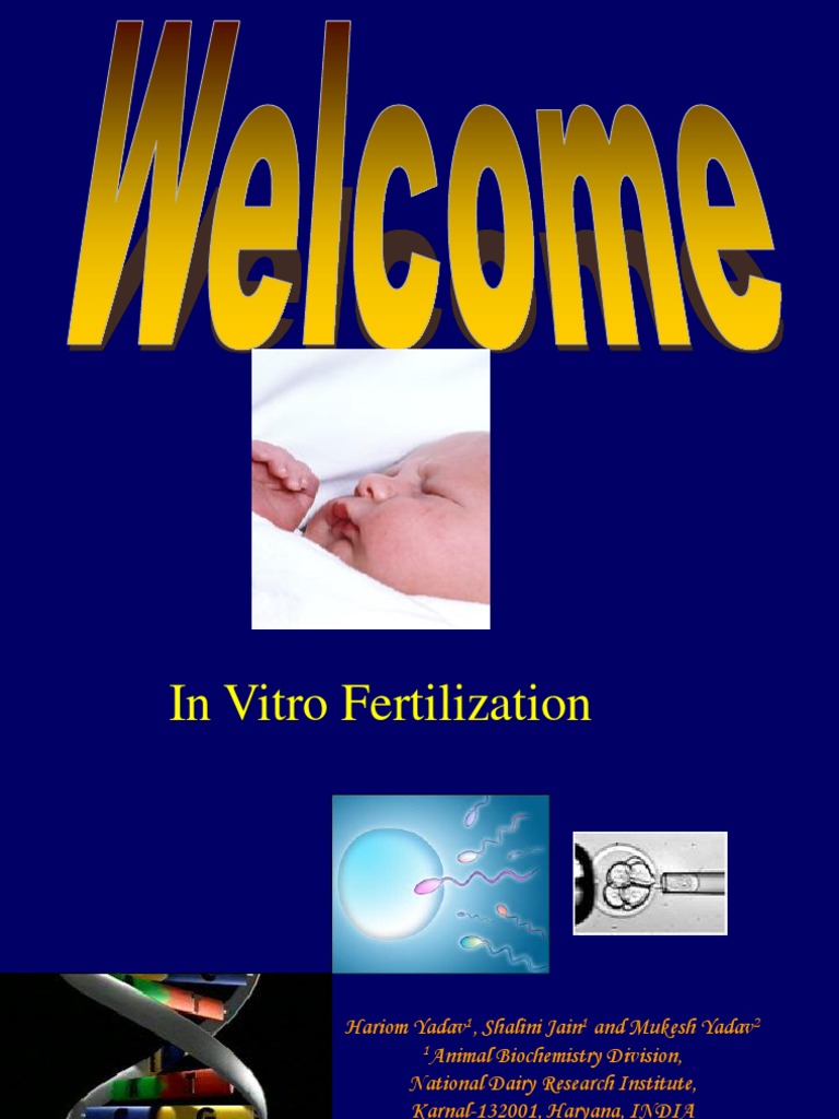 In Vitro Fertilization Overview | PDF | In Vitro Fertilisation ...