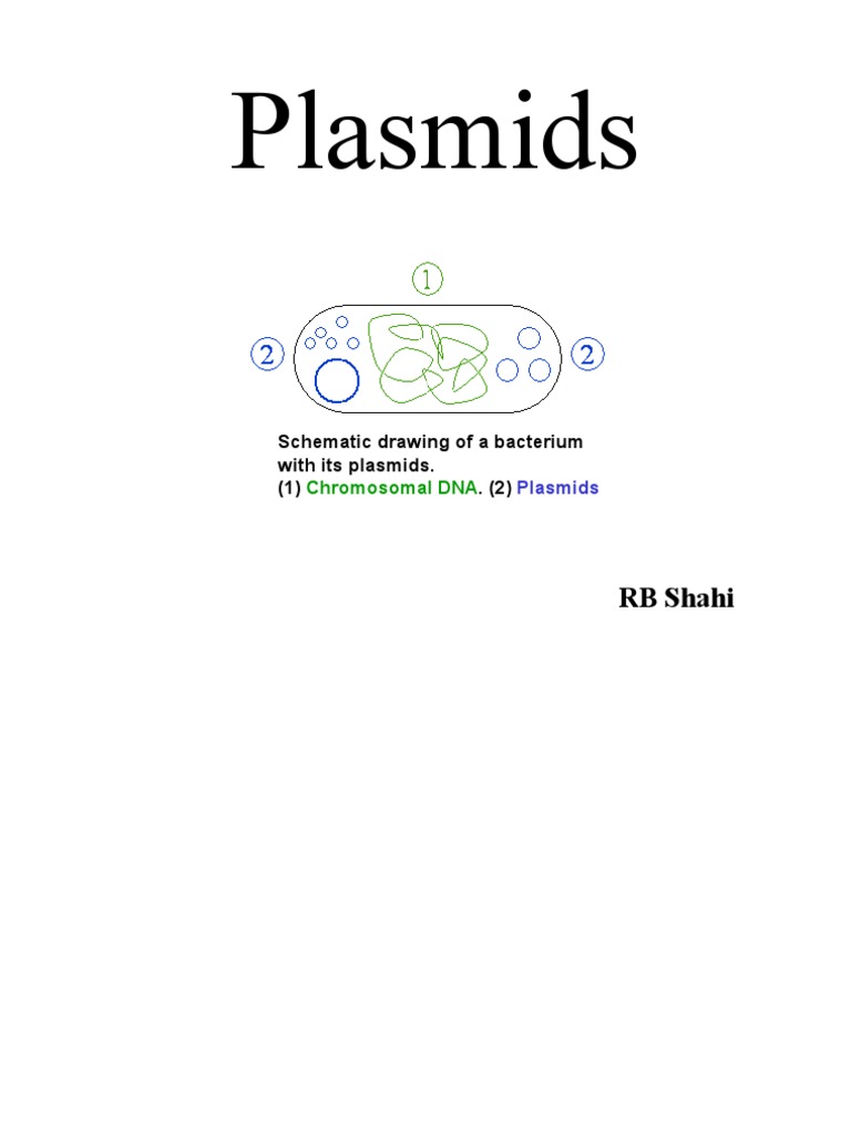 Plasmids | PDF | Plasmid | Dna