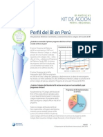 Peru Country Profile Es