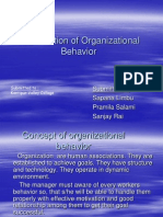 OB - Introduction of Organizational Behaviour