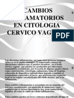 Cambios Inflamatorios en Citologia Cervico Vaginal