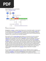 TRP Operon