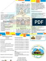 Triptico Plan Vacacional 2013