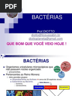 Bacterias Teresa