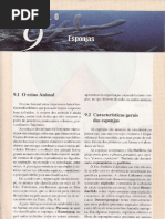 Cap.9 Esponjas