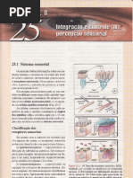 CAP.25-INTEGRAÇÃO E CONTROLE (III)-PERCEPÇÃO SENSORIAL