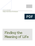 Finding the Meaning of Life
